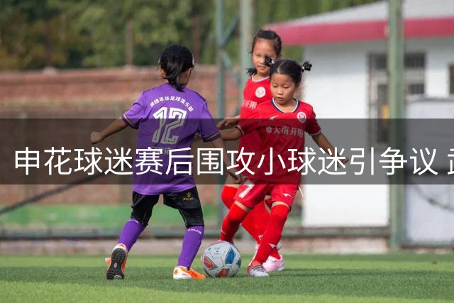 申花球迷赛后围攻小球迷引争议 武磊发声寻人