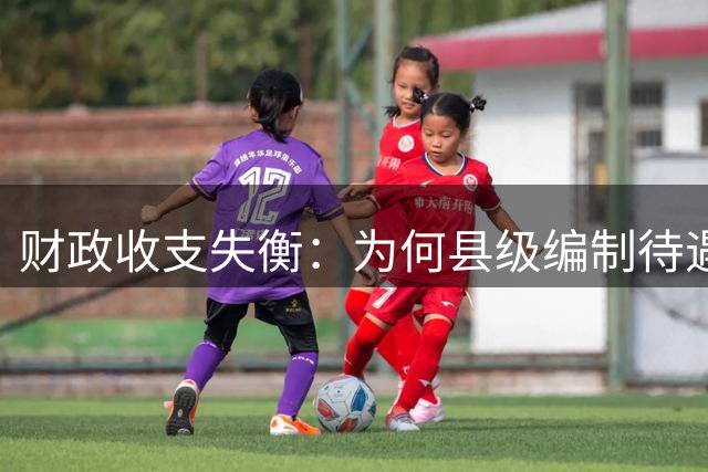 财政收支失衡：为何县级编制待遇难以调整