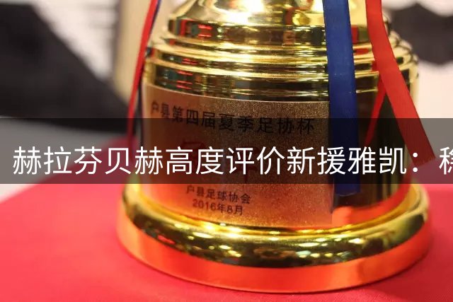 赫拉芬贝赫高度评价新援雅凯：稳健控球与防守俱佳